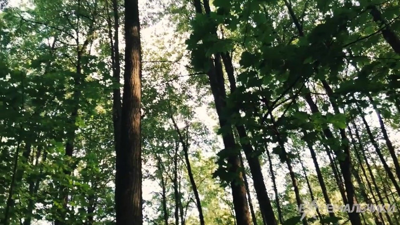 Extremalchiki: Sesso anale sul percorso nella foresta