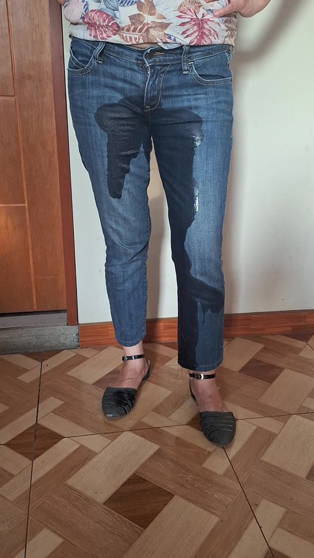 This Bitch Pees in Her Jeans (Agnes Swallow) This Bitch Pees in Her Jeans (Agnes Swallow)