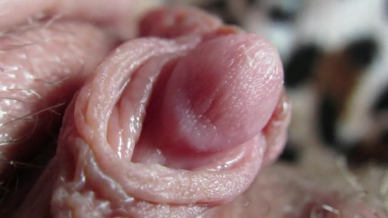 Cuteblonde666: Big clit compilation 2