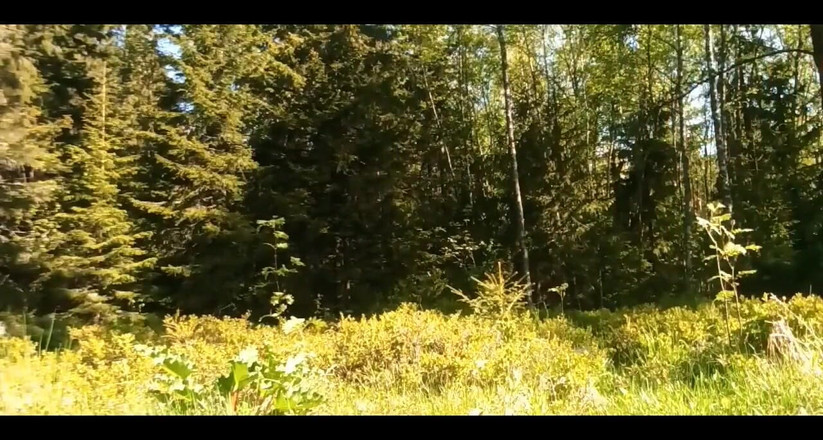 Big Pisser: 여름은 가장 멋진 시간입니다