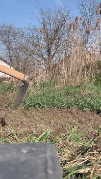 La gigantessa del giardinaggio impazzisce un uomo minuscolo