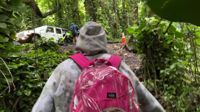 Dante Colle: Yağmur ormanlarında yarak emiyor