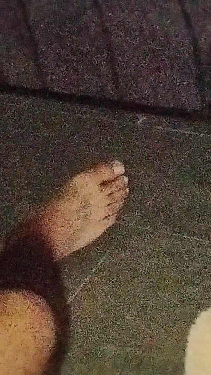 AlexAlejandro13: Diubahsuai