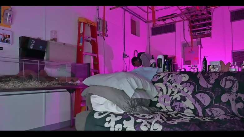 Joe Iandola: Sólo muž