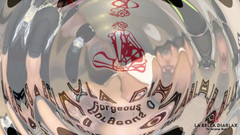 LaBellaDX: Og Jim Bones插话 labella 的锻炼