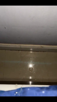 BBC Cumshot