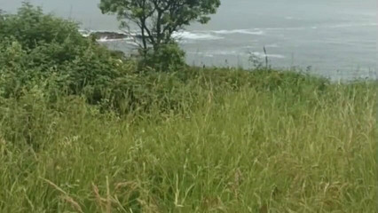 Amadeus studio: Robyn beni sert prezervatifsiz sikiyor