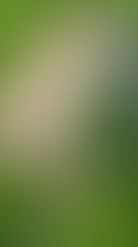 Drone Porn... Literally! Drone Follows Me, Watches Me Get Naked and Wank in Field