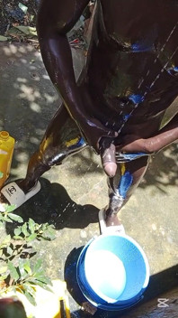Real Outdoor Shower Dick Massage