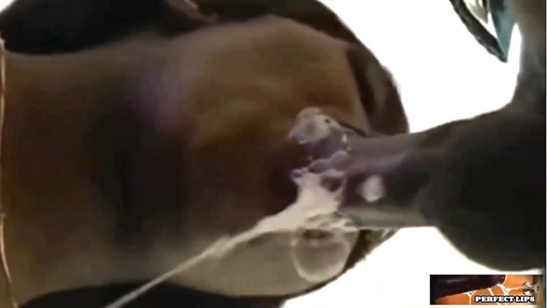 Wildwood21519: Cum in Mouth Compilation Prt.8