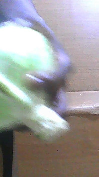 Sexy Femboy Crossdresser Slut Fucking Gaping Cabbage Asshole