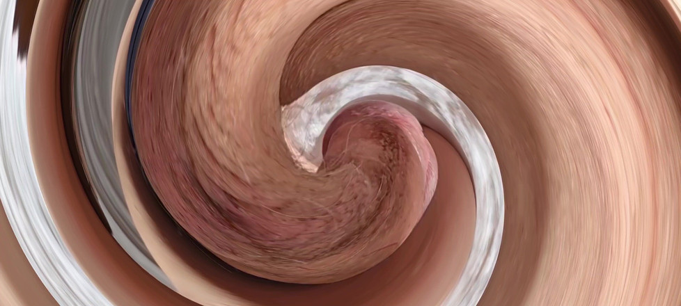 Hamsterteletu: Lelaki Tua Solo