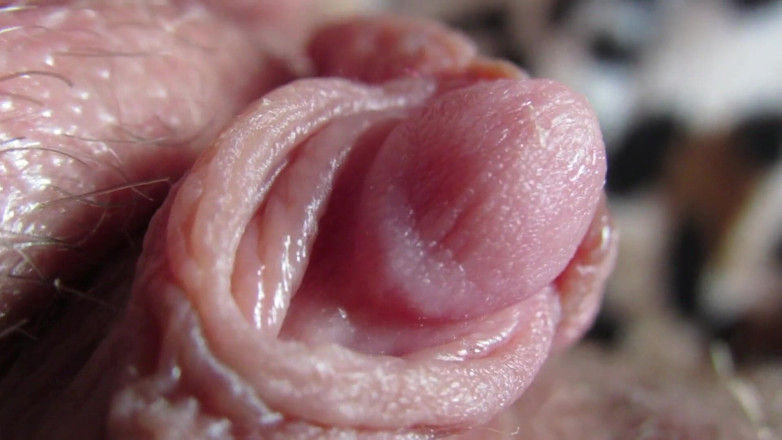 Cuteblonde666: Extreme close up on my hard clit head