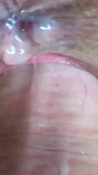 Moja cipka sika dla ciebie i mój dupek mruga dla ciebie. Proszę, pieprz mnie i pięść moją cipkę. Zbliżenie