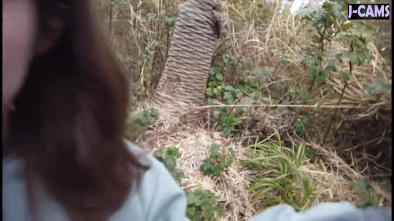 J-Cams: Um jogo de viagem arriscado construído em torno de vibração...