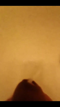 Black Cock Shots