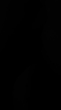 Passion Noir 1