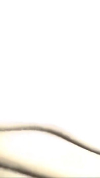 3069646