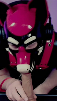 Goodboy Teases Playful Pup