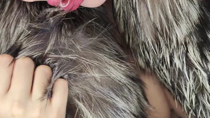 Princess18_: Wet Fur Coat, Double Cum on Fur Coat