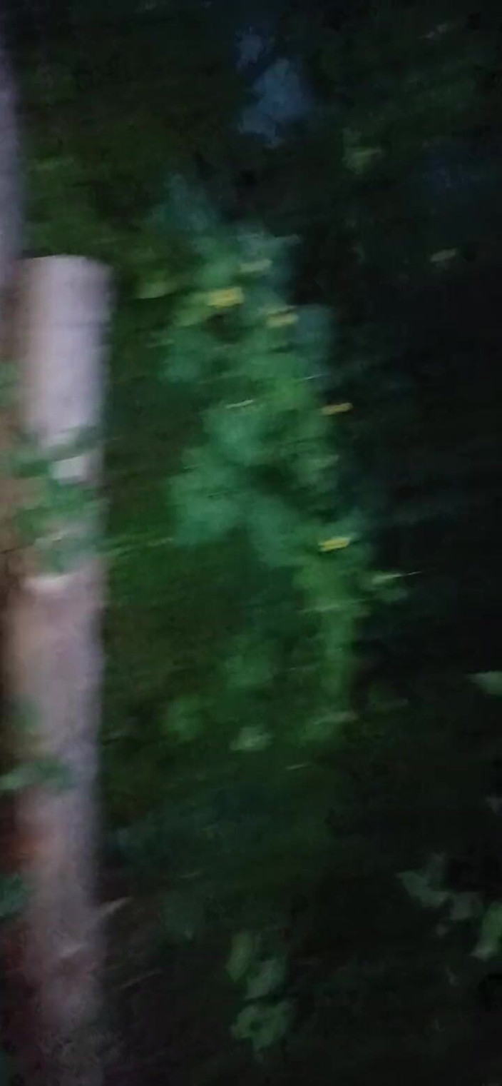 Lesbian-illusion: Она прижала меня к дереву в парке и ненасытно съела мою киску