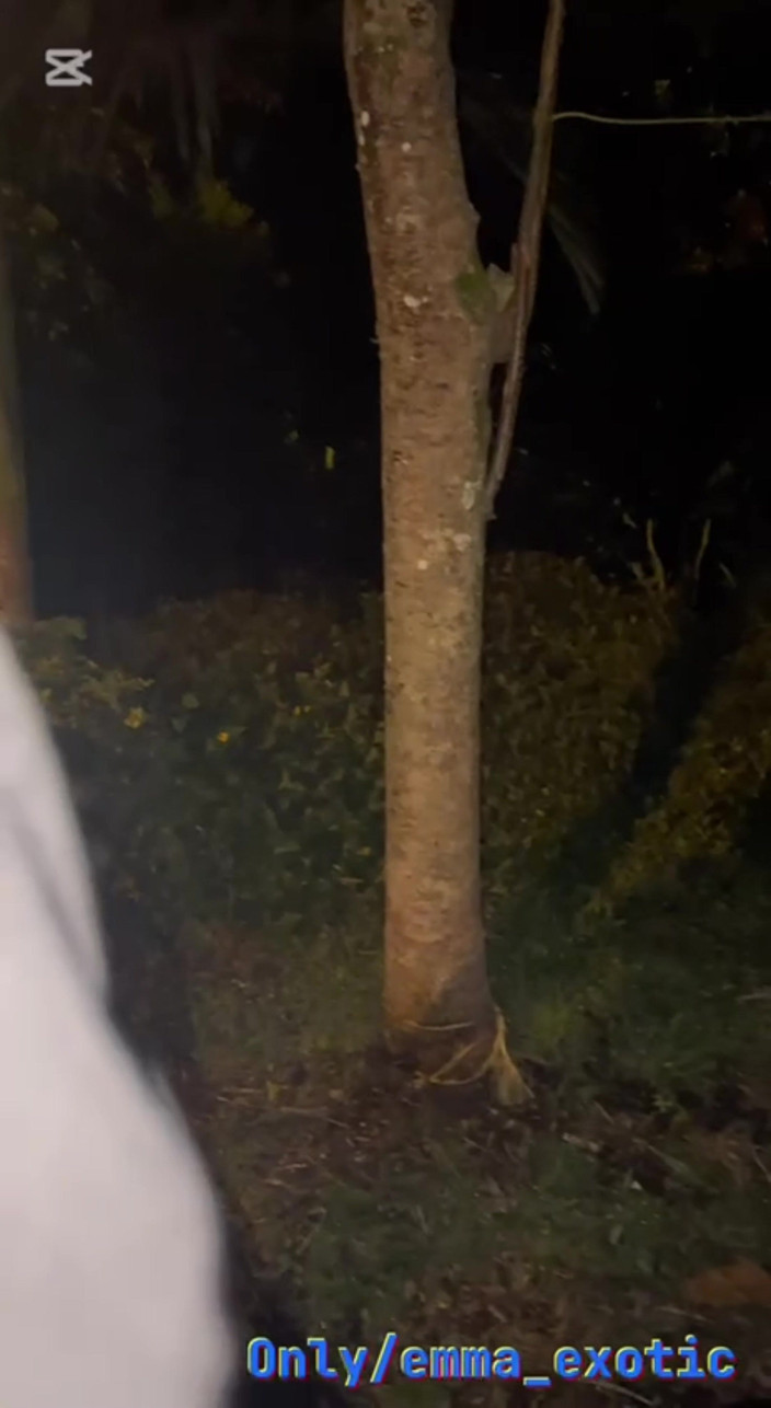 ema_abby: Сусід на вулиці