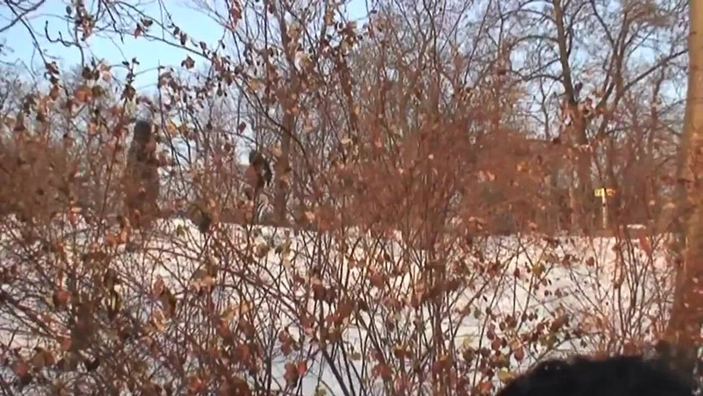 East Public: Exhibitionists have sex in the snow in front of passers-by...