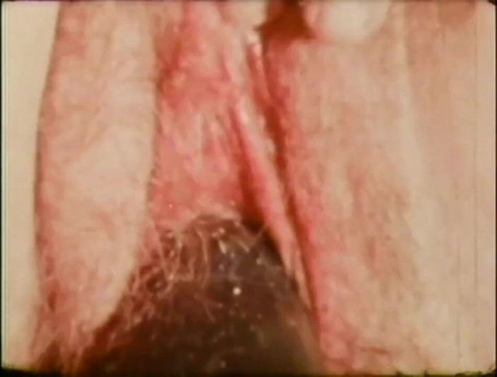 Vintage Usa: Une douce jeune fille vintage prend une grosse bite