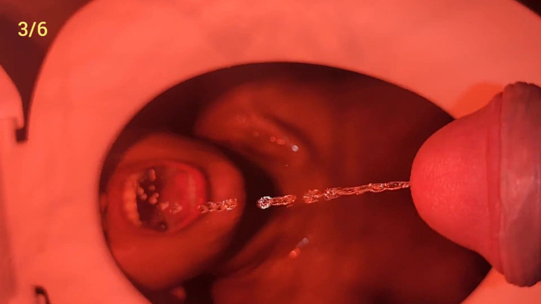 Pietro Montoya: Compilation Human Toilet with Private Flush 10/15/2023