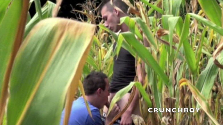 Crunch Boy: 익스티브 코너 필드에서 똑바른 호기심에 따먹히는 플랫 보이