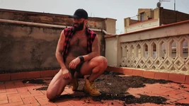 Filphy Alpha dom pov(देखने का बिंदु)