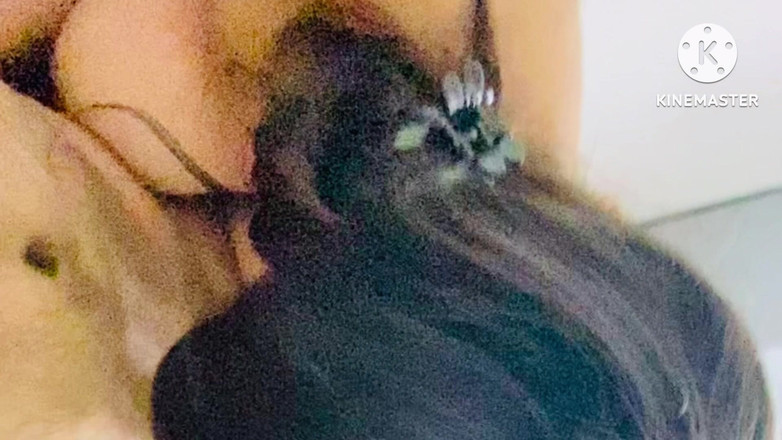 roxirimmer: Close up Anal Sex First Time with Teen Sis