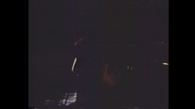 Vintage megastore: 豚の舌