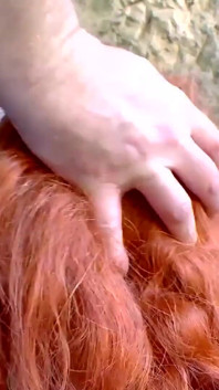 Naomi Lionness e Nancy Hot fanno sesso anale con un grosso cazzo duro e un giocattolo gigante