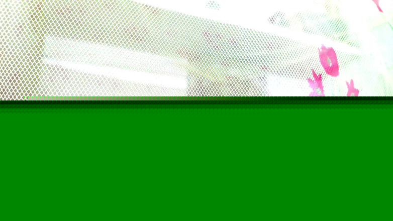 SanskariGirl1: Influenceuse Instagram, Vidéo De Sexe Viral En Hindi