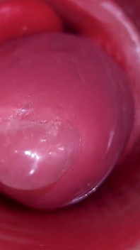 Inuti En Camgirl Livmoderhals POV Kamera I Vagina Med Stor Kuk Leksak