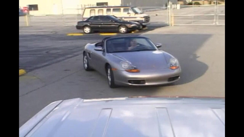 Porn4Life: La furia del gallo