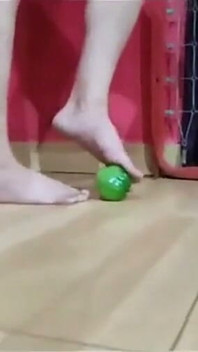 Gresopio și Tomato