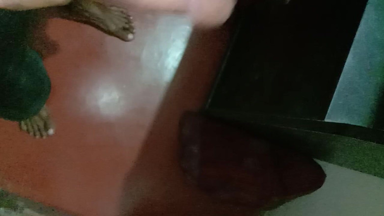 Kerala black bull: Branlette 5588