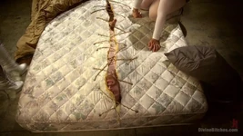 Påskliljor: BBW saftig knulla överseende