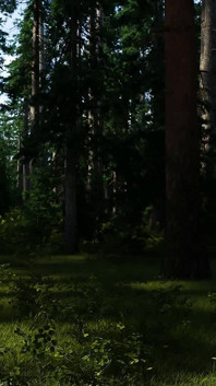 The Patriarch: teman lelaki cuckold teman wanitanya dan kawannya di dalam hutan - episod 9