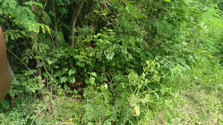 Wonder: Vysokoškolská studentka s uniformní lesbičkou venku