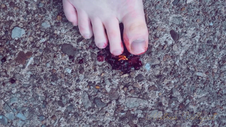 Mxtress Valleycat: Tiny Trash