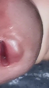 The Dick Growls at Its Owner