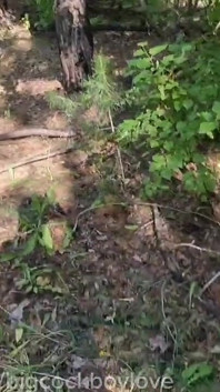 Трах без презерватива в любительском видео, большие члены в заднице, сперма, общественный парк!