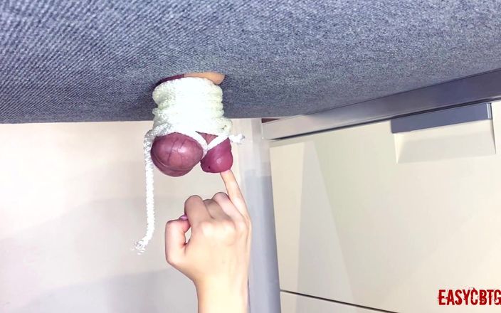 AnnyCandyPainboy: Sahibe taşaklarını ve yarağını bağladı ve onlarla oynuyor easycbtgirl