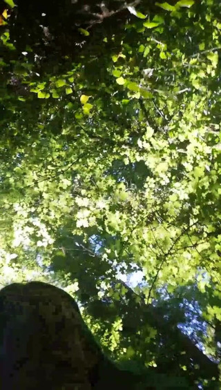 Babe2race: Melancap di dalam hutan semasa rehat makan tengah hari