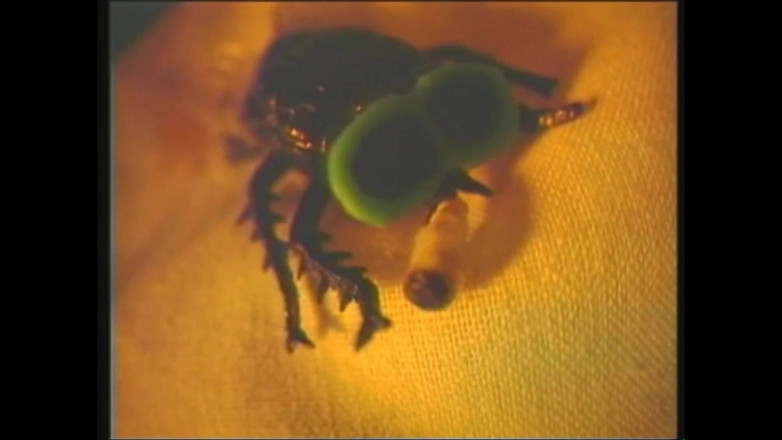 MCG Empire: Cewek-cewek binal ini kalah dientot habis-habisan sampai mengerang keenakan