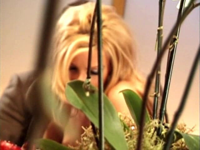Busty Cafe: Brittany Andrews Hardcore