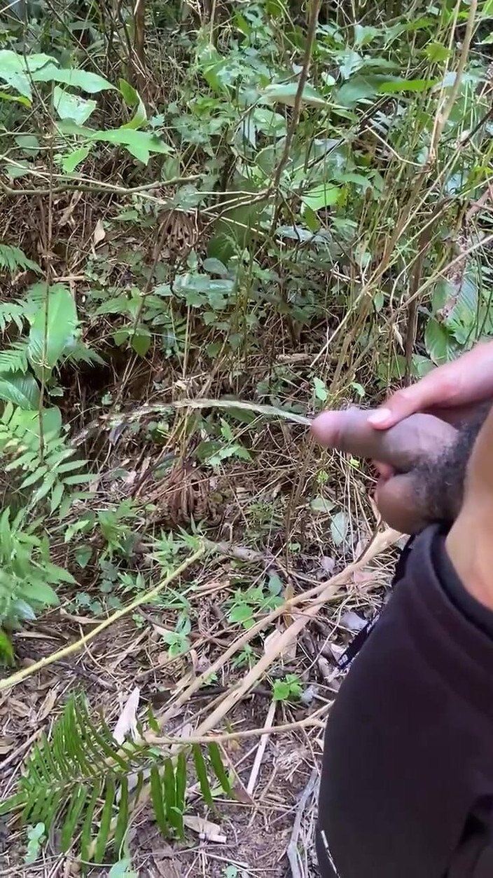 Vida Noite: Naštvaný vášní Chčije na traily